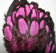 ������� ���� Hen feathers BLW �������